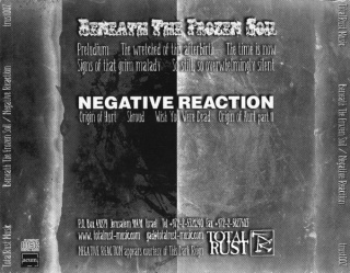 BENEATH THE FROZEN SOIL / NEGATIVE REACTION- Beneath The Frozen Soli/Negative Reaction