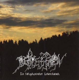 DEPRESSION - Ein Kakophonischer Lebenshauch