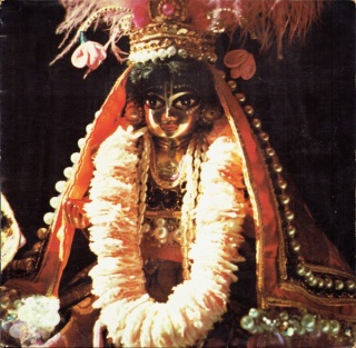 Hare Krsna Festival