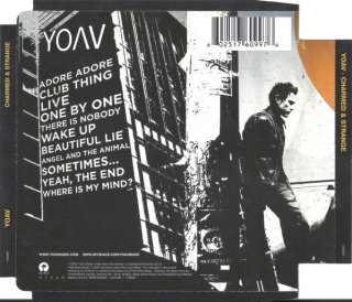 YOAV- Charmed & Strange