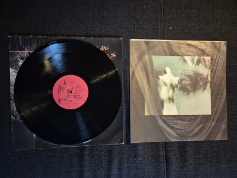 COCTEAU TWINS- Treasure