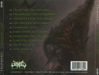 DIMINISHED- Chainsaw Cunt