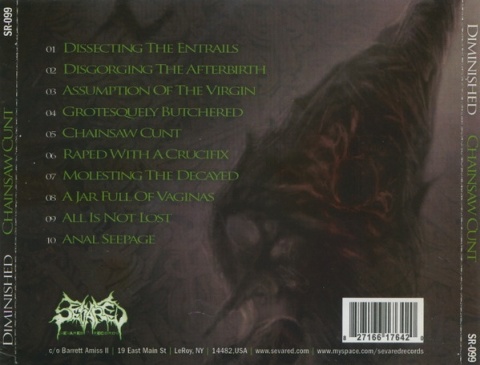 DIMINISHED- Chainsaw Cunt