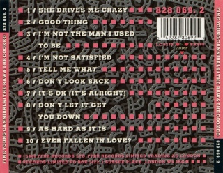 FINE YOUNG CANNIBALS- The Raw & The Cooked