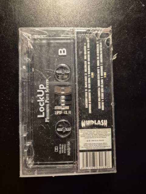 LOCK UP- Pleasures Pave Sewers