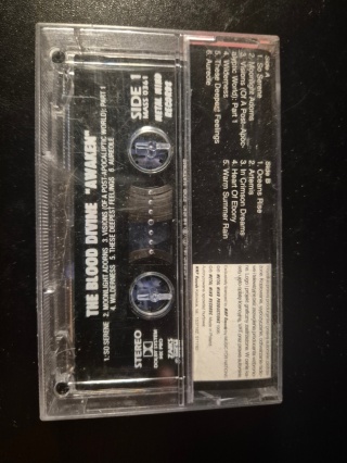 TTHE BLOOD DIVINE- Awaken