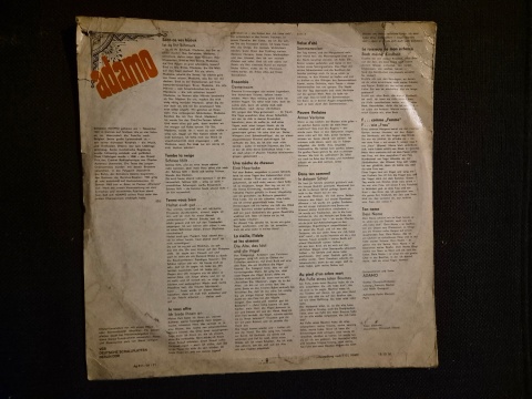 ADAMO- Adamo
