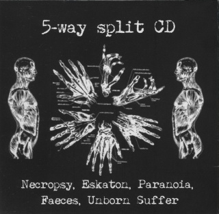 5 - Way Split CD