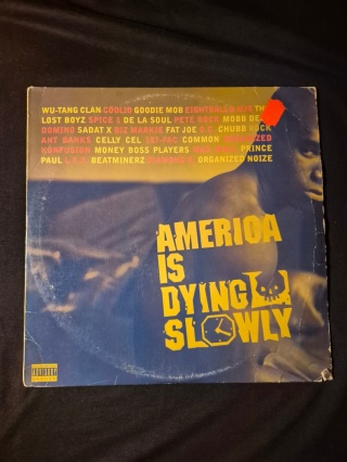 America Is Dying Slowly