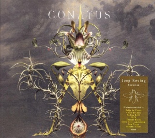 JOEP BEVING- Conatus
