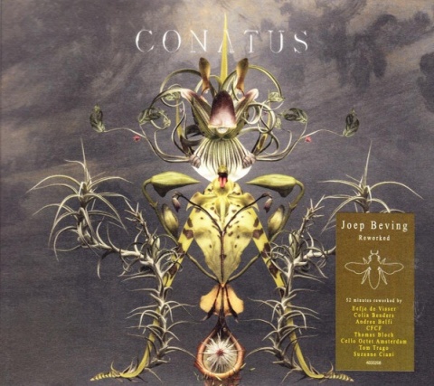 JOEP BEVING- Conatus
