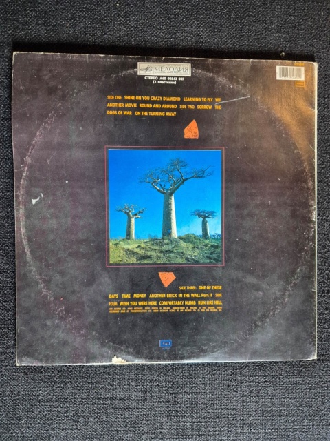 PINK FLOYD- Delicate Sound Of Thunder